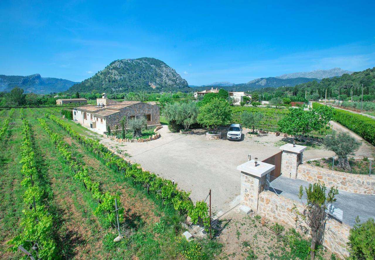 Owl Divina - Luxury Retreat Pollenca