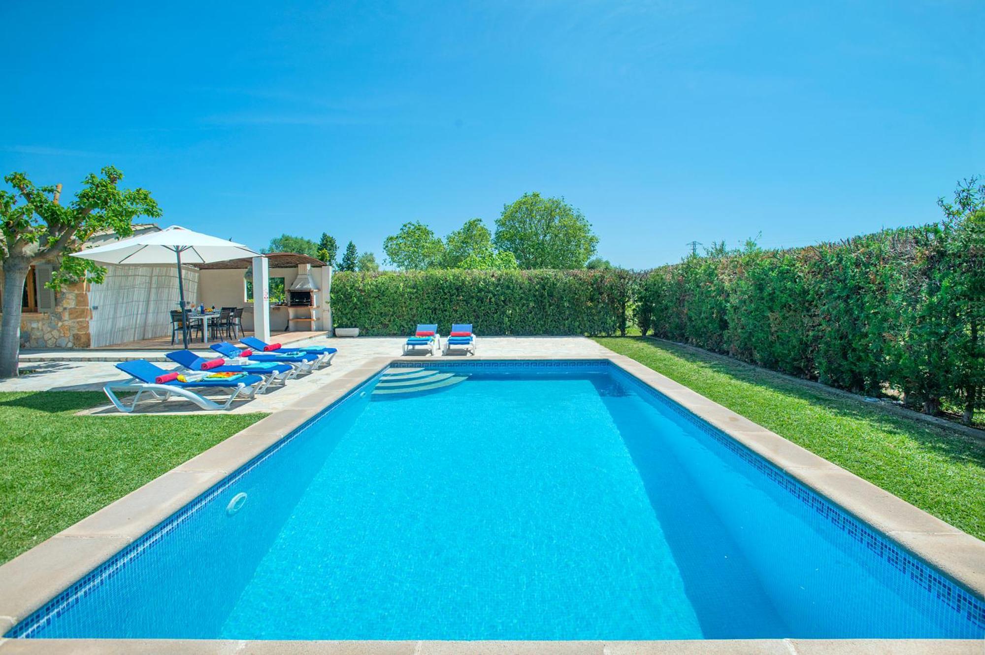 Owl Divina - Luxury Retreat